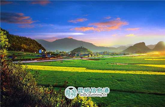 3月到羅平 看花海賽道上的馬拉松和自行車賽