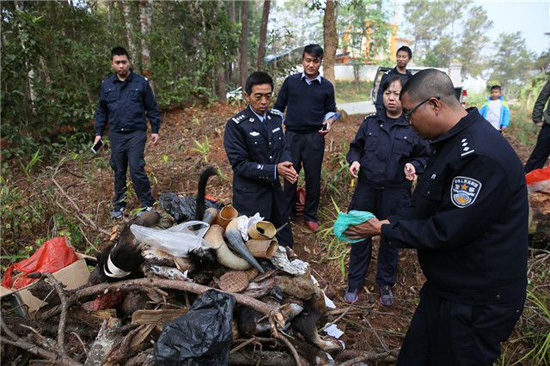 蜂猴巨蜥亞洲鱉 版納銷毀一批收繳野生動物死體及制品