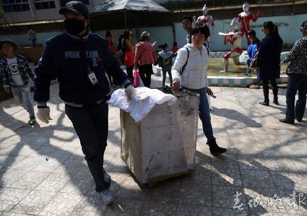 鶴,動物園,打架