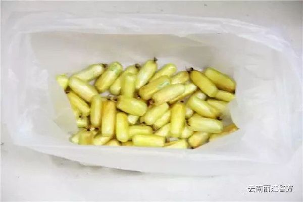 麗江機場,緝毒,藏毒案 麗江機場,緝毒,藏毒案