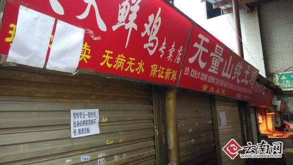 昆明二環(huán)內(nèi)禁止活禽交易宰殺 商戶稱二環(huán)外也該禁 昆明二環(huán)內(nèi)禁止活禽交易宰殺 商戶稱二環(huán)外也該禁