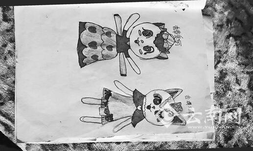 11歲女孩春節(jié)突然昏迷再未醒來(lái) 成昭通捐獻(xiàn)器官第一人