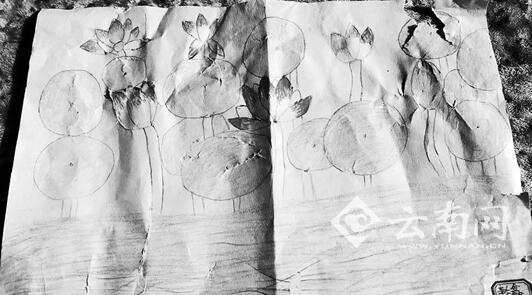 11歲女孩春節(jié)突然昏迷再未醒來(lái) 成昭通捐獻(xiàn)器官第一人