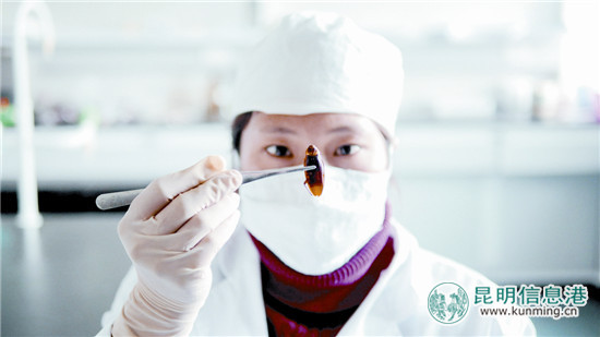 用蟑螂做藥 一年賣出幾個億