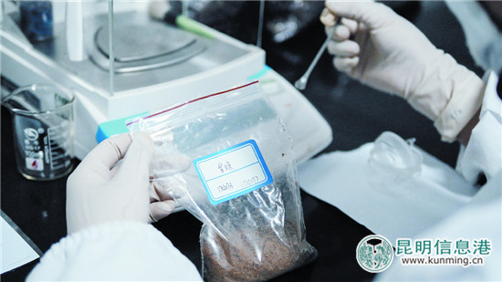 用蟑螂做藥 一年賣出幾個億