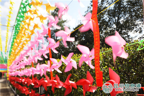 昆明野鴨湖開五彩“風(fēng)車趴”