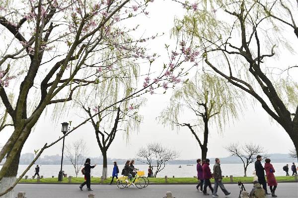杭州,西湖,美景