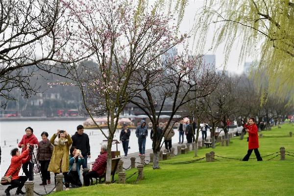 杭州,西湖,美景