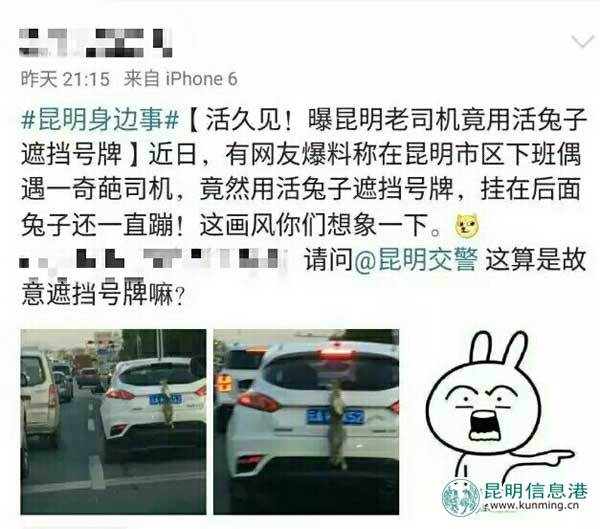 交警,昆明,車牌 交警,昆明,車牌