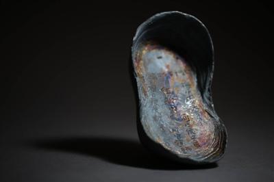 江口沉銀遺址考古：確認(rèn)是戰(zhàn)場(chǎng)遺址非主動(dòng)沉銀