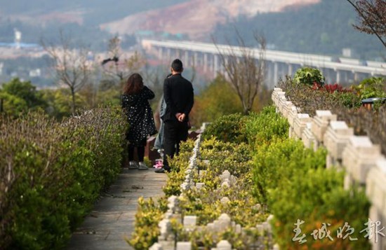 清明節(jié)前嵩明長松園推出花葬草坪葬 50個生態(tài)墓免費 清明節(jié)前嵩明長松園推出花葬草坪葬 50個生態(tài)墓免費