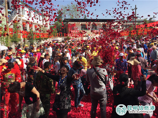 晉寧,米線,花瓣