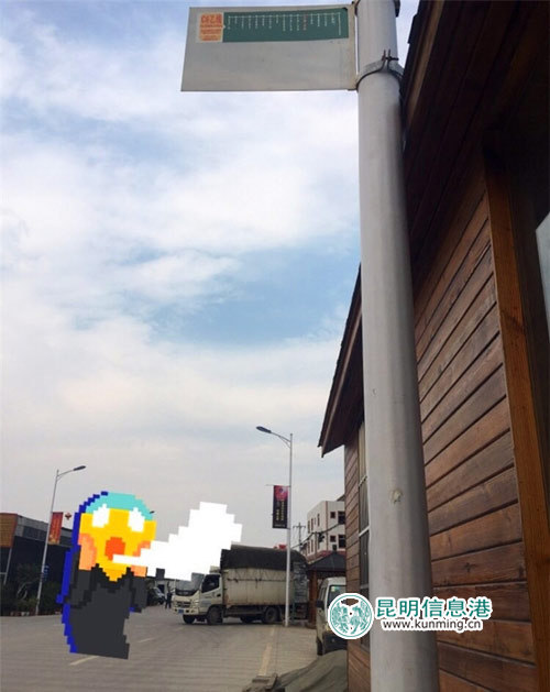 斗南花卉市場3.2米高公交站牌 斗南花卉市場3.2米高公交站牌