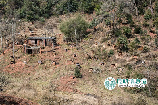 老君山腳有個村子，玉龍納西族自治縣九河白族鄉(xiāng)中合村。