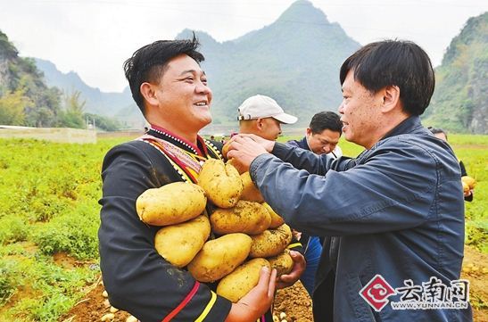 朱有勇院士團隊定點幫扶瀾滄縣脫貧攻堅紀實 朱有勇院士團隊定點幫扶瀾滄縣脫貧攻堅紀實