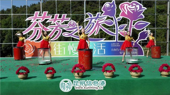 安寧八街玫瑰谷今起重掃花徑 邀您共享芬芳慢生活