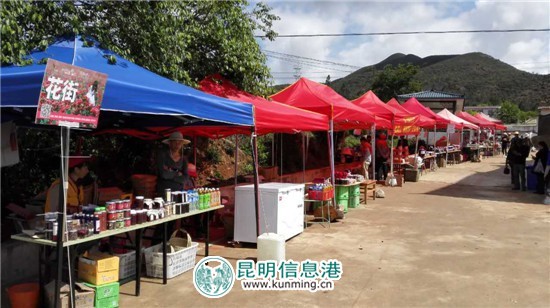 安寧八街玫瑰谷今起重掃花徑 邀您共享芬芳慢生活