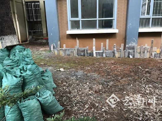 草坪上堆放著建筑材料包