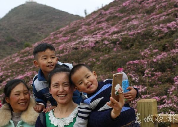 馬鹿塘,杜鵑花,門票 馬鹿塘,杜鵑花,門票
