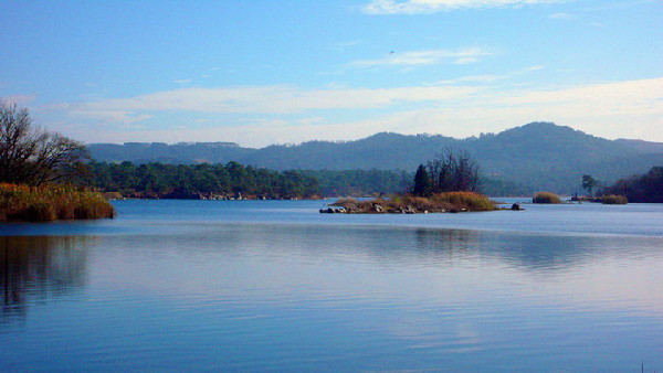 石林,會(huì)員卡,游客