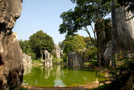 石林,會(huì)員卡,游客