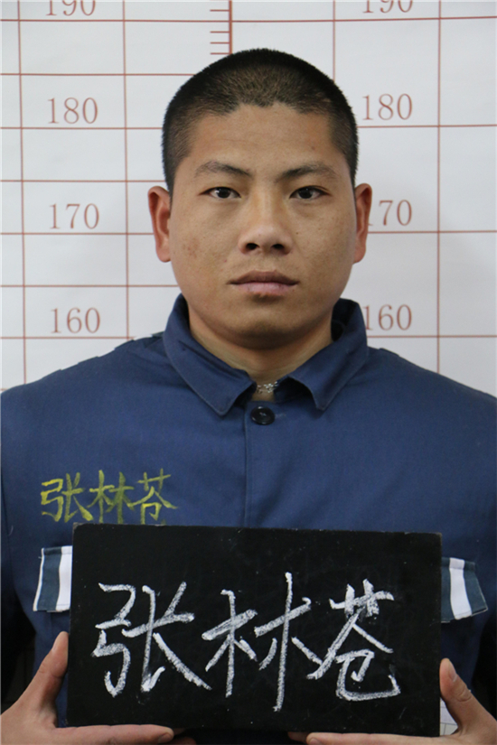 云南省司法廳深夜開(kāi)新聞通報(bào)會(huì):直接抓獲張林蒼獎(jiǎng)20萬(wàn) 云南省司法廳深夜開(kāi)新聞通報(bào)會(huì):直接抓獲張林蒼獎(jiǎng)20萬(wàn)