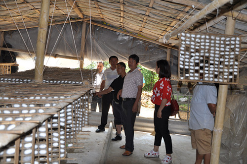 德宏隴川縣農(nóng)業(yè)局、縣蠶桑下鄉(xiāng)督查蠶桑項(xiàng)目實(shí)施情況