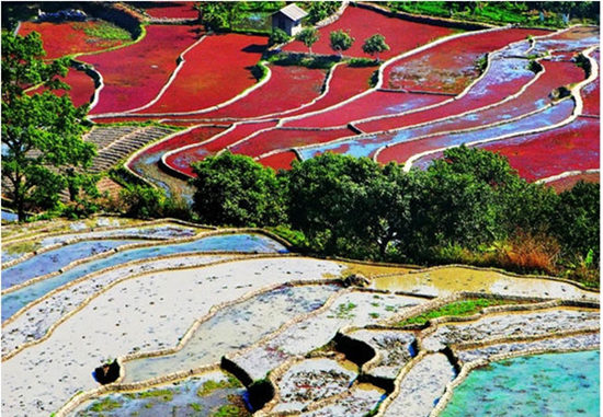 云南城投盯上戛灑旅游資源簽約開(kāi)發(fā)旅游小鎮(zhèn)