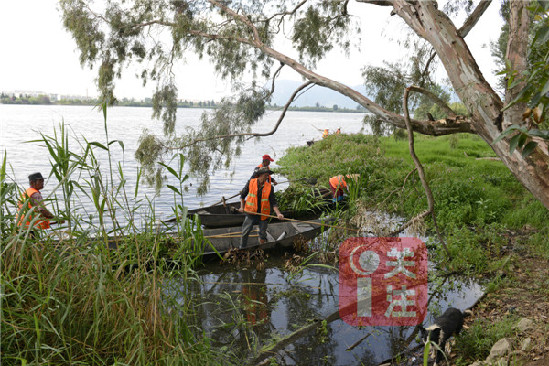 執(zhí)法工作人員對殘留木樁進(jìn)行拆除