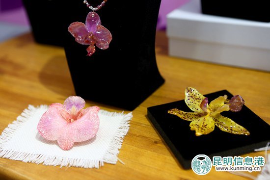 第十八屆中國(guó)昆明國(guó)際花卉展今日開(kāi)幕