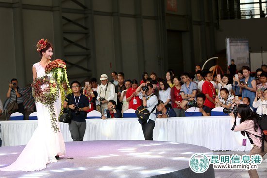 第十八屆中國(guó)昆明國(guó)際花卉展今日開(kāi)幕