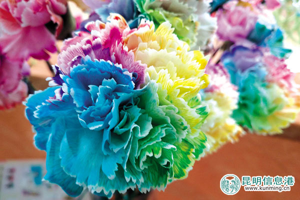 昆明國際花卉展昨開幕 3萬枝花打造家居花藝