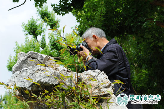市民前來拍攝荷花