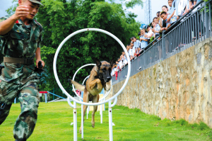 20只警犬搜到毒品800多公斤