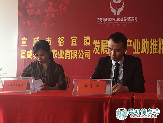 宣威格宜鎮(zhèn)推進(jìn)農(nóng)業(yè)產(chǎn)業(yè)化 打造農(nóng)村電商平臺(tái)