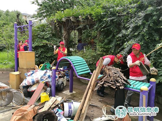 度假區(qū)進(jìn)入環(huán)境衛(wèi)生整治第二階段 “包?！辈涣σ坟?zé)