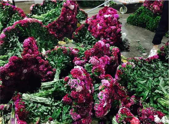 【共舞長江經濟帶】昆明：立足本地優(yōu)勢 “小產業(yè)”里尋商機