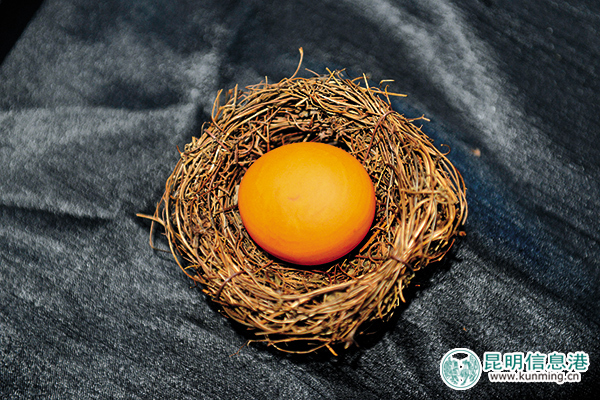 昆明石博會珍寶探秘 展出的雞缸杯并非拍出2.3億那只 昆明石博會珍寶探秘 展出的雞缸杯并非拍出2.3億那只