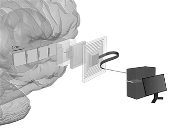 100萬(wàn)個(gè)神經(jīng)元將與計(jì)算機(jī)直接對(duì)話 100萬(wàn)個(gè)神經(jīng)元將與計(jì)算機(jī)直接對(duì)話