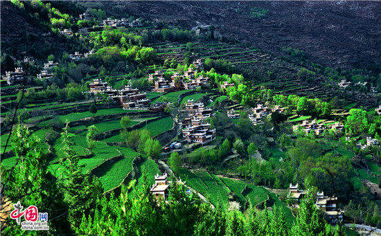 今夏避暑之選 最高溫度24度的四川甘孜