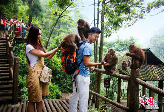 7月在峨眉山享受一場純天然的盛筵