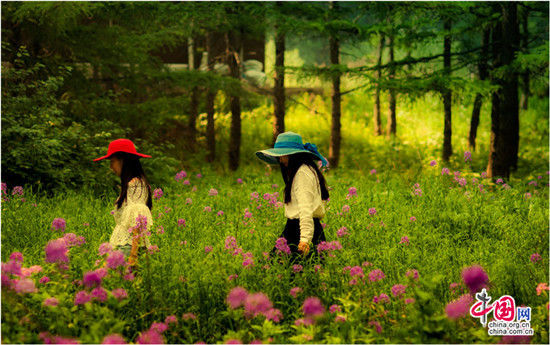 霧靈山 家庭親子旅游不可多得的避暑勝地