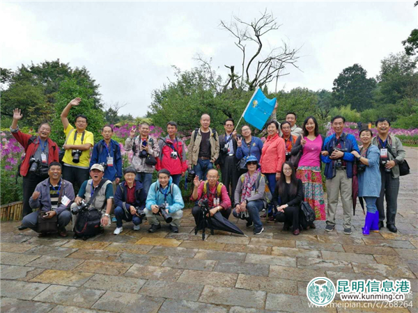 彩龍網(wǎng)友相約茶藝師和旗袍仙子齊聚黑龍?zhí)?邂逅十萬株醉蝶