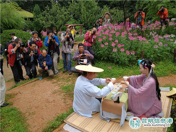 彩龍網(wǎng)友相約茶藝師和旗袍仙子齊聚黑龍?zhí)?邂逅十萬株醉蝶