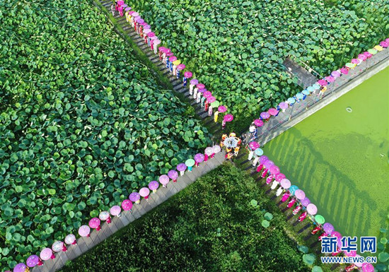 旗袍愛好者在四川省綿竹市九龍鎮(zhèn)新龍村荷塘參加旗袍走秀