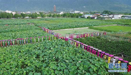 旗袍愛好者在四川省綿竹市九龍鎮(zhèn)新龍村荷塘參加旗袍走秀