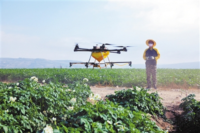 甘肅定西:無人機噴藥防蟲害 甘肅定西:無人機噴藥防蟲害