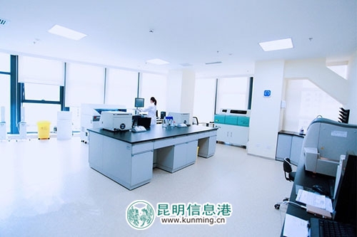 菲悅健康管理中心為云南著名書(shū)法家、畫(huà)家提供免費(fèi)公益體檢活動(dòng)