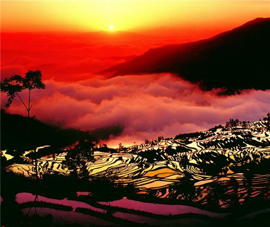 哈尼梯田最佳拍攝地推薦