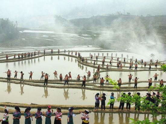 哈尼梯田最佳拍攝地推薦